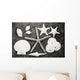 Shells And Starfish Scatterd On Textured Surface Wall Mural