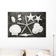 Shells And Starfish Scatterd On Textured Surface Wall Mural