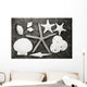 Shells And Starfish Scatterd On Textured Surface Wall Mural