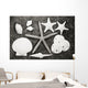 Shells And Starfish Scatterd On Textured Surface Wall Mural