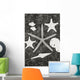 Shells And Starfish Scatterd On Textured Surface Wall Mural