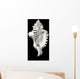 Close-Up Of Conch Shell On Black Background Wall Mural