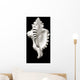 Close-Up Of Conch Shell On Black Background Wall Mural