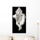 Close-Up Of Conch Shell On Black Background Wall Mural