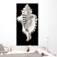 Close-Up Of Conch Shell On Black Background Wall Mural