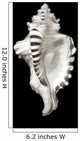 Close-Up Of Conch Shell On Black Background Wall Mural