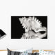 Close-Up Of Conch Shell On Black Background Wall Mural