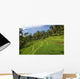 Indonesia, Rice Terraces Wall Mural