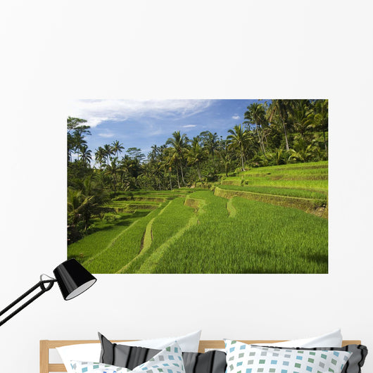Indonesia, Rice Terraces Wall Mural