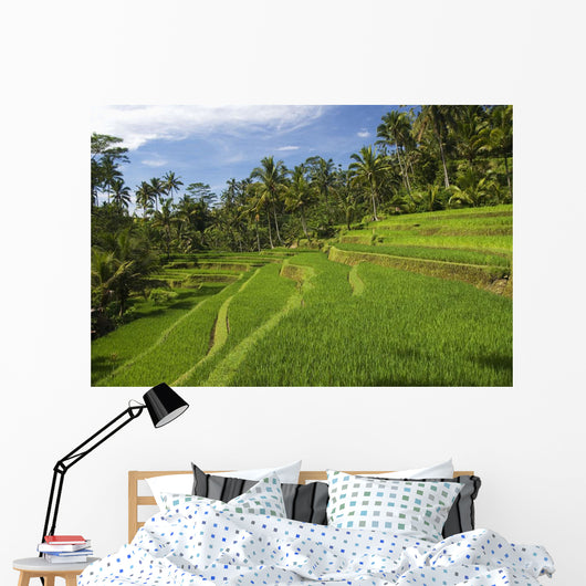 Indonesia, Rice Terraces Wall Mural