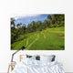 Indonesia, Rice Terraces Wall Mural