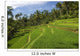 Indonesia, Rice Terraces Wall Mural