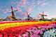 Landscape with Tulips Traditional Wall Decal