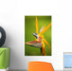 Hawaii, Maui, Bird Of Paradise Blossom Wall Mural