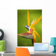 Hawaii, Maui, Bird Of Paradise Blossom Wall Mural