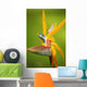 Hawaii, Maui, Bird Of Paradise Blossom Wall Mural