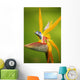 Hawaii, Maui, Bird Of Paradise Blossom Wall Mural