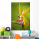 Hawaii, Maui, Bird Of Paradise Blossom Wall Mural