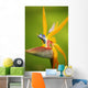 Hawaii, Maui, Bird Of Paradise Blossom Wall Mural