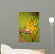 Hawaii, Maui, Bird Of Paradise Blossom Wall Mural