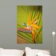 Hawaii, Maui, Bird Of Paradise Blossom Wall Mural
