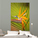 Hawaii, Maui, Bird Of Paradise Blossom Wall Mural