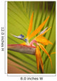 Hawaii, Maui, Bird Of Paradise Blossom Wall Mural