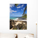 Maui Wai Or Secret Beach And Rocky Surroundings Wall Mural