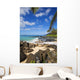 Maui Wai Or Secret Beach And Rocky Surroundings Wall Mural