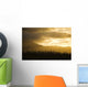 Pine Trees And Kaala Mountain Range At Sunset Wall Mural