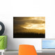 Pine Trees And Kaala Mountain Range At Sunset Wall Mural