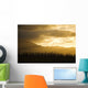 Pine Trees And Kaala Mountain Range At Sunset Wall Mural