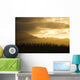 Pine Trees And Kaala Mountain Range At Sunset Wall Mural
