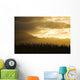 Pine Trees And Kaala Mountain Range At Sunset Wall Mural
