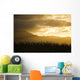 Pine Trees And Kaala Mountain Range At Sunset Wall Mural