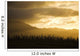 Pine Trees And Kaala Mountain Range At Sunset Wall Mural