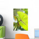 USA, Close-Up Of Taro Leaf Wall Mural