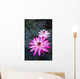 USA, Hawaii, Oahu, Pink Water Lilies at Kualoa Ranch Wall Mural