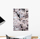 Japan, Cherry Blossom Season Wall Mural