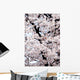Japan, Cherry Blossom Season Wall Mural