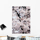 Japan, Cherry Blossom Season Wall Mural