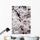 Japan, Cherry Blossom Season Wall Mural