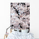 Japan, Cherry Blossom Season Wall Mural