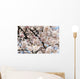 Japan, Cherry Blossom Season Wall Mural