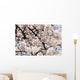 Japan, Cherry Blossom Season Wall Mural