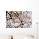 Japan, Cherry Blossom Season Wall Mural