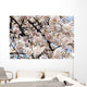 Japan, Cherry Blossom Season Wall Mural