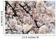 Japan, Cherry Blossom Season Wall Mural