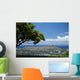 Diamond Head And Waikiki Seen From Tantalus Wall Mural