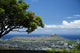 Diamond Head And Waikiki Seen From Tantalus Wall Mural